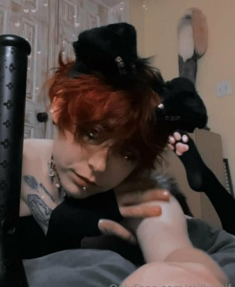 milkw0lf étoile sympa collection