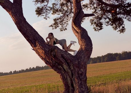 blackangel27free art de star du porno images