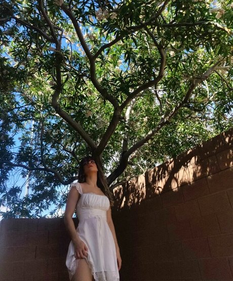 Lemonkiwi modèle images