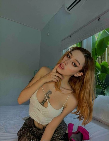 stormy bunny nus étoiles archive