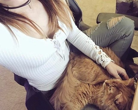 Jonna Mae haut de star du porno galeries