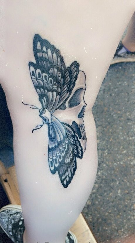 chaton potelé uniquementfans adulte meilleur img