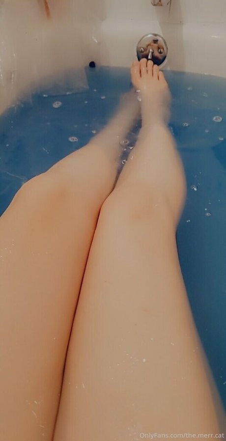 the merr cat belle star du porno galerie