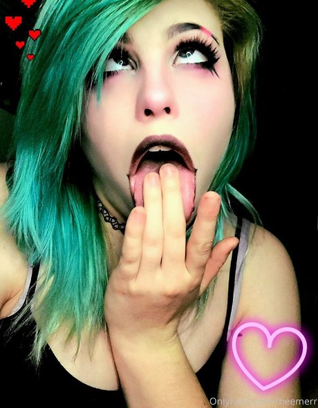 the merr cat Profilfoto