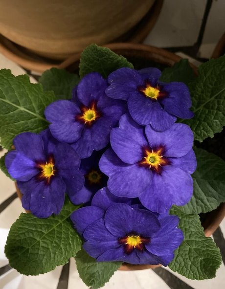 amateurs courbés onlyfans sexy photo