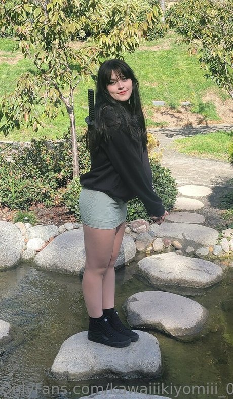 Rue Hernandez modèle hd galeries