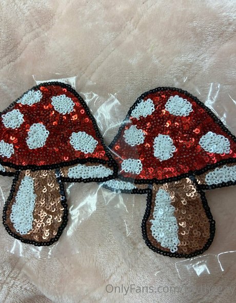 faythegay étoile érotique collection