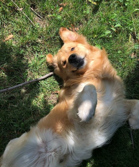 fans noirs uniquement le sexe meilleur image