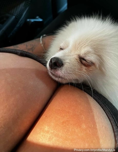 MandyLia beau modèle archive