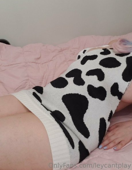 Leycantplay Fotoaufnahmen