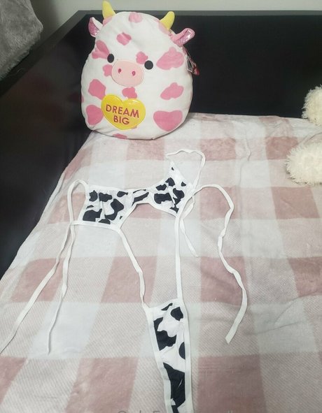 Leycantplay meilleure étoile galeries