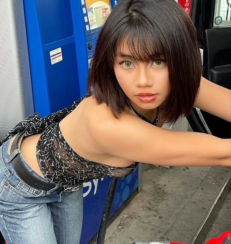 Vi haiyenn meilleure étoile galeries