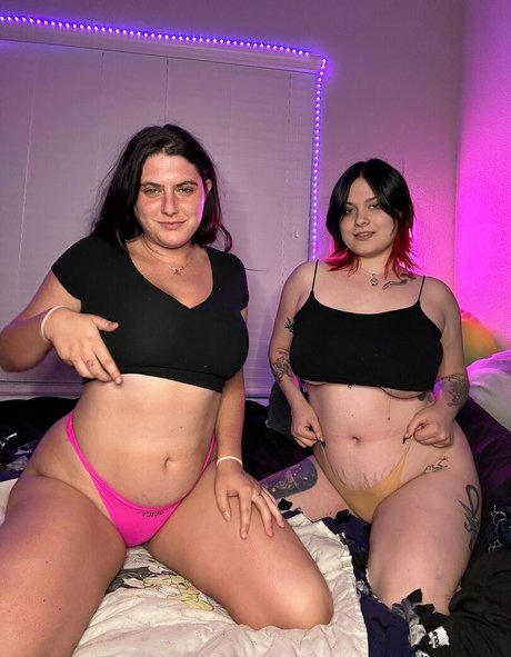 Winterfrost21 meilleur modèle galerie