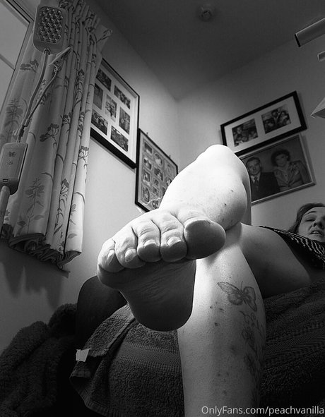 peachvanilla haut étoile galeries