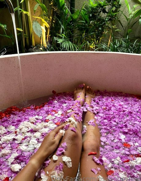 lisahoneyfeet art star du porno archive