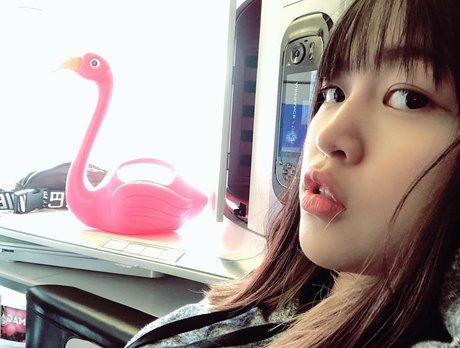 rinlinlin étoile sympa galeries