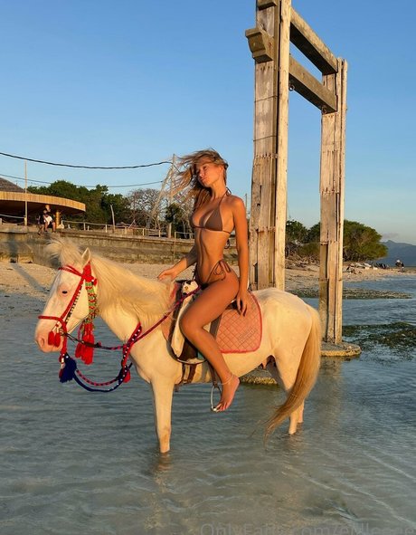 elllleeee étoile de haute qualité des photos