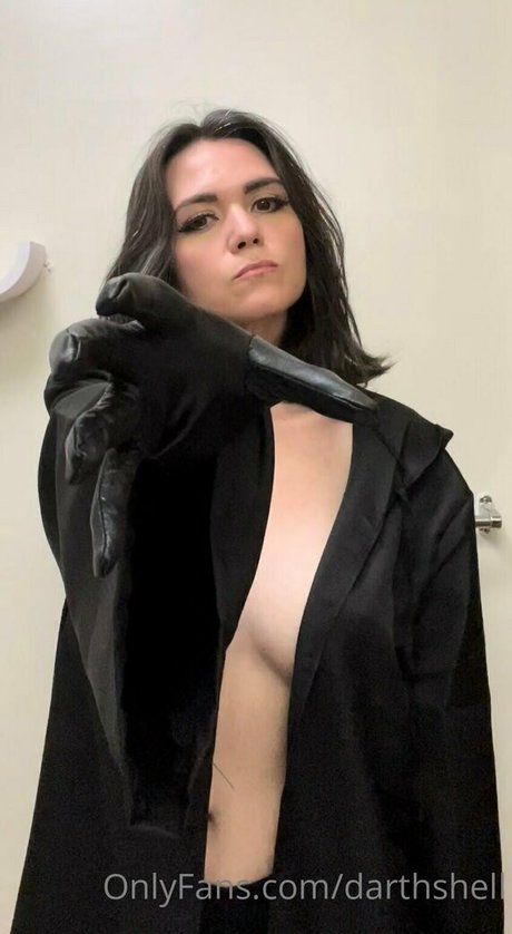 darthshell art étoile galerie