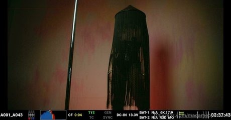 madameopossum belle étoile des photos