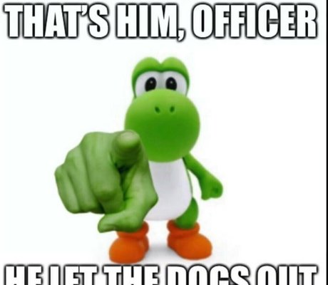 gros pawg onlyfans nu collection