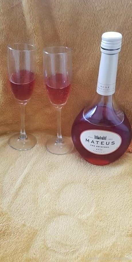 tashag18 star érotique archive