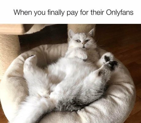 épouse arabe onlyfans nue en haute qualité images