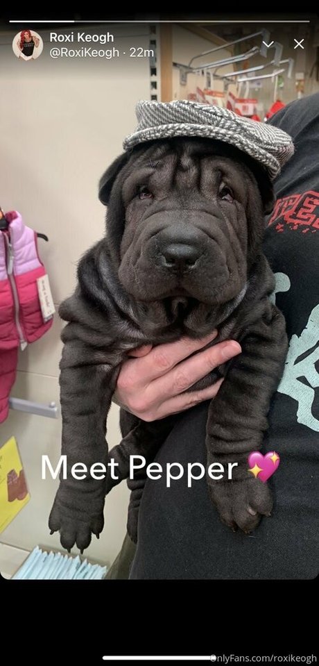 roxikeogh top star collection