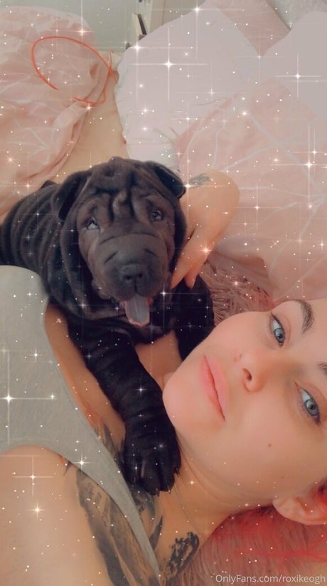 roxikeogh star du porno nue photo