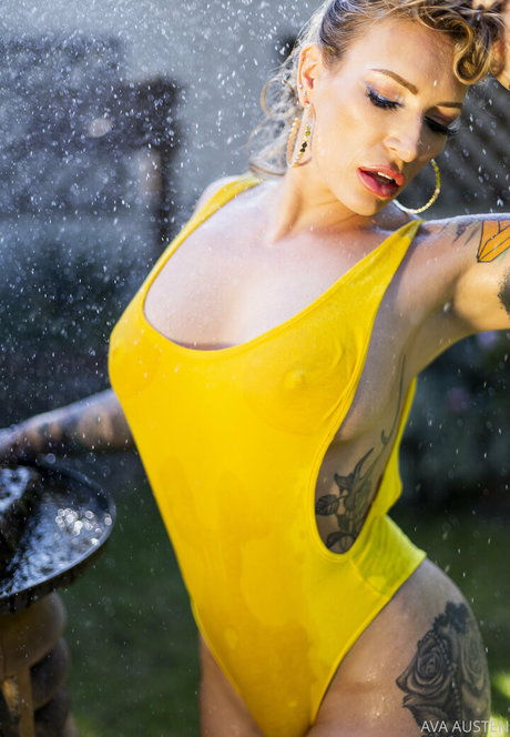 fans de chatte blanche uniquement sympa parfait image