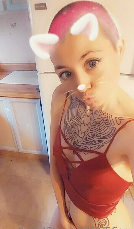 pocketpleazer star du porno xxx galeries