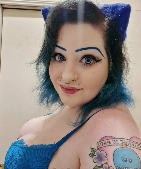 kitten k free art étoile images