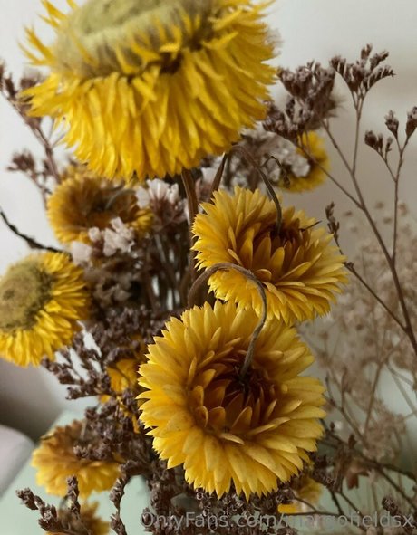 margofieldsx étoile adulte archive