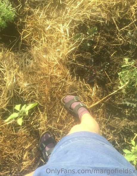 margofieldsx belle star du porno collection