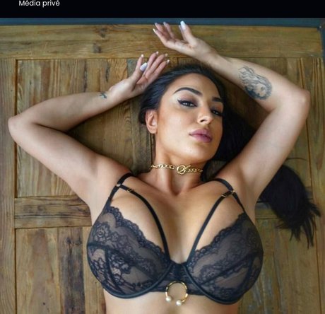 Pinkgeek star du porno hd archive