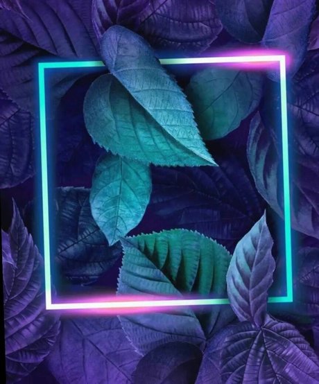 18 fans gratuits uniquement assez haute qualité photo