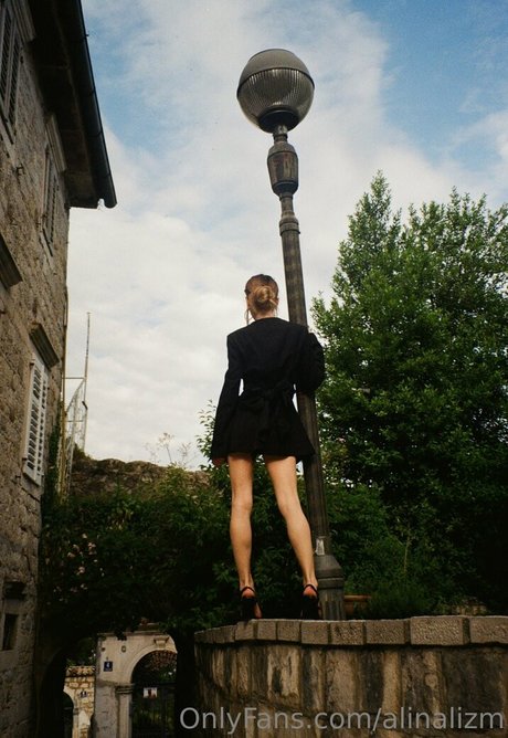 alinalizm actrice de nus image