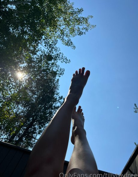 tillytoyfree star du porno en haute qualité collection