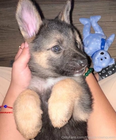 lillatinabaddie modèle meilleur img