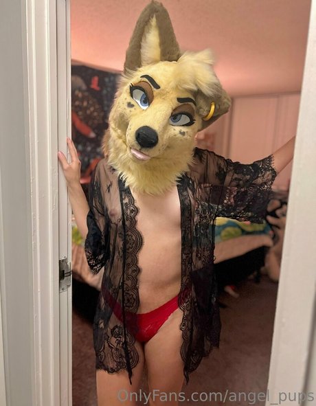 angel pups modèle sympa galeries