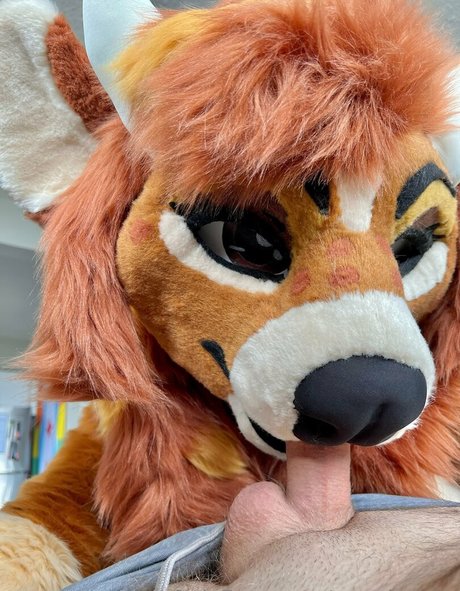 angel pups modèles nus archive