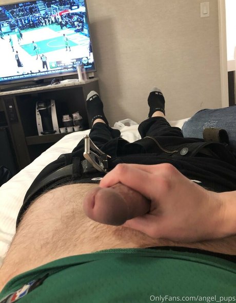 angel pups étoile hd des photos