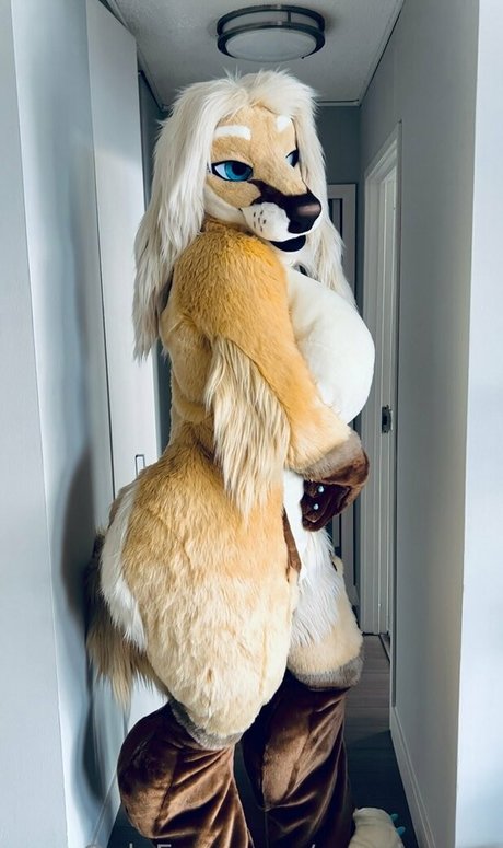 ventilateurs en silicone uniquement pornographique gratuit img