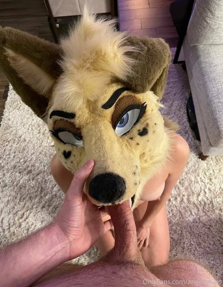 angel pups star du porno sympa galerie