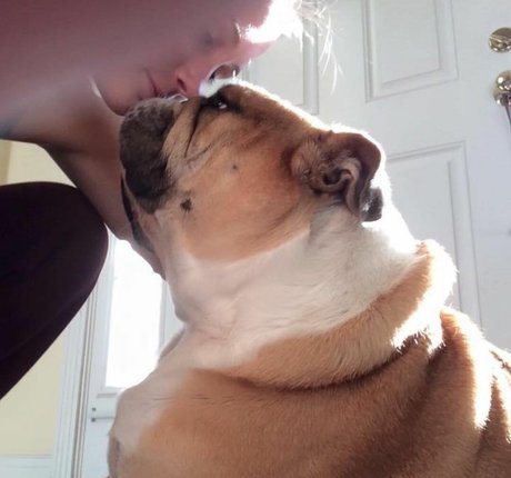 Courtney Craib star du porno belle image