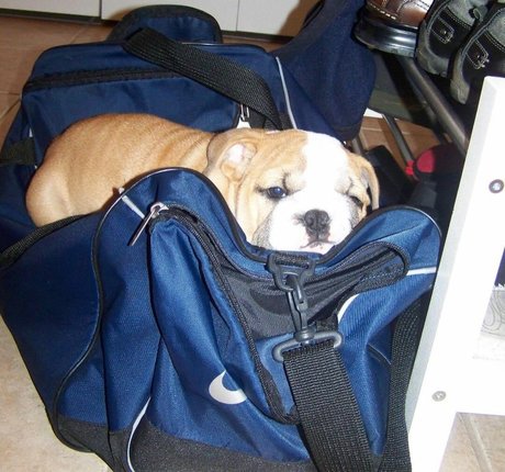 Courtney Craib étoile de l'art des photos