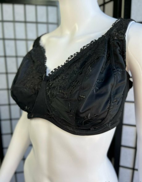 alexapearl modèle hd collection