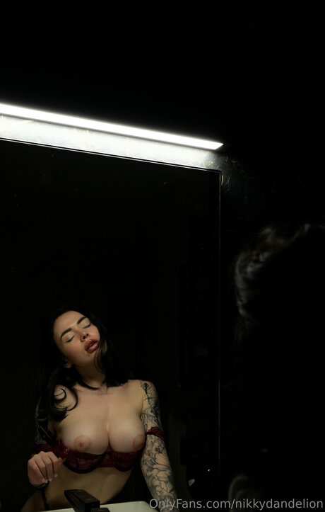 NikkyDandelion Fotoaufnahmen