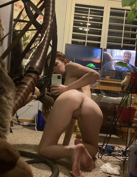 Chryspie modèle images