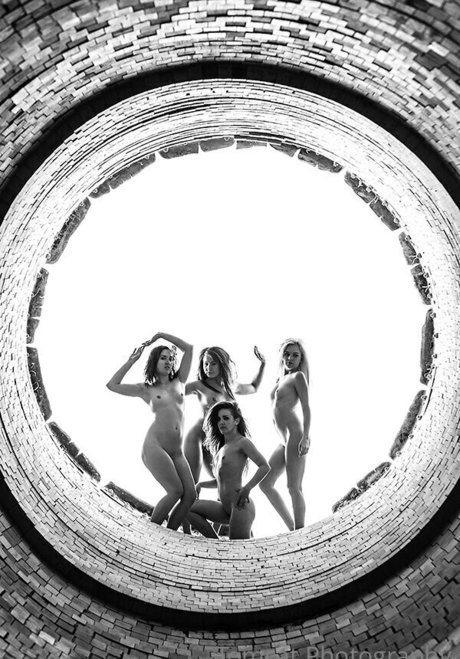 tomcat photography étoile de l'art image