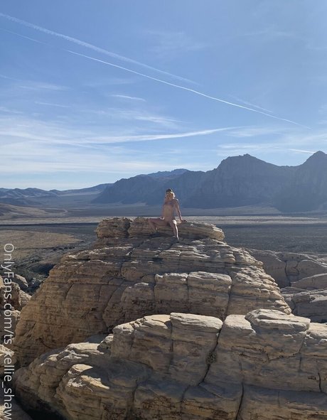 aphroditeadams art étoile galerie